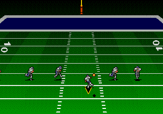 Скриншот игры Troy Aikman NFL Football